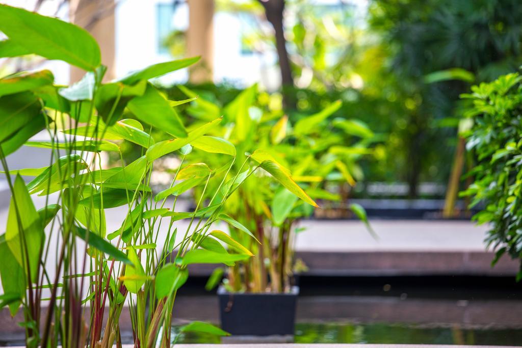 The Capital Resort @ Sukhumvit 50 Bangkok Luaran gambar Plants in a water garden